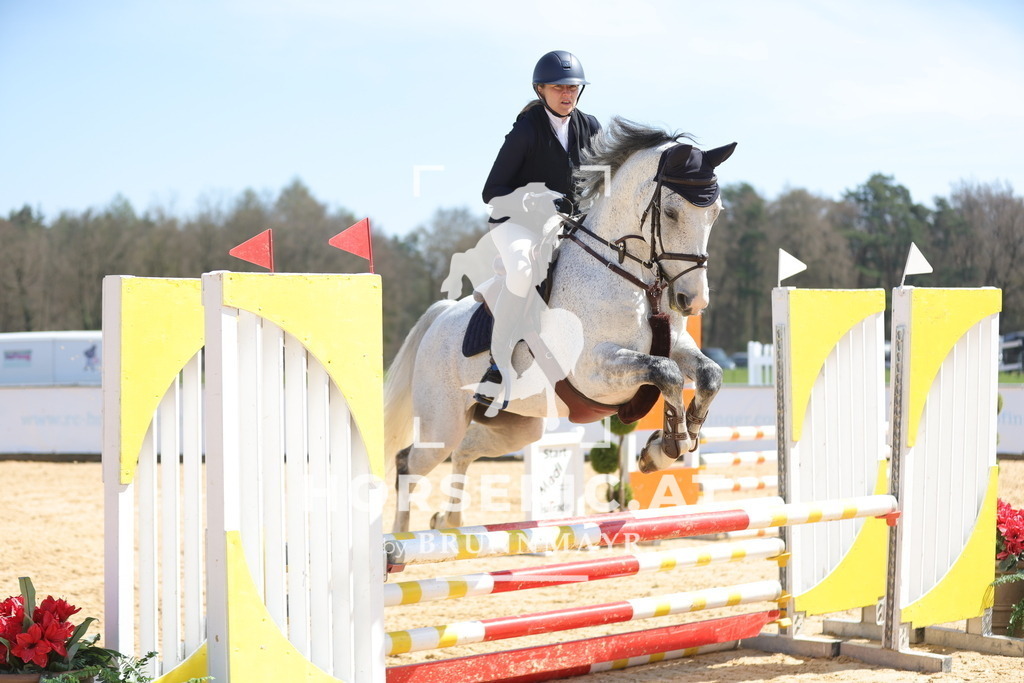 0P6A0788 | Willkommen bei Brunnmayr - Design & Fotografie – Ihrem Spezialisten für Reitturniere und Pferdeveranstaltungen in Oberösterreich, Salzburg und Bayern! Seit über 17 Jahren sind wir leidenschaftlich dabei.