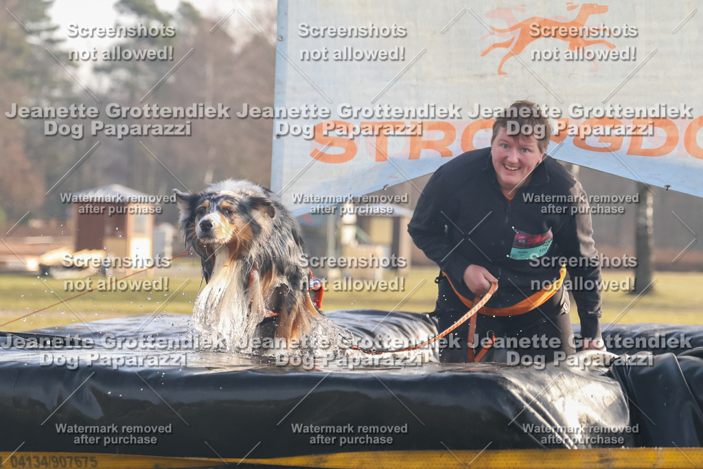 Dog Paparazzi - SD North 0326 900930-118 | Dog Paparazzi Jeanette Grottendiek Fotografie & Videografie - Realisiert mit Pictrs.com