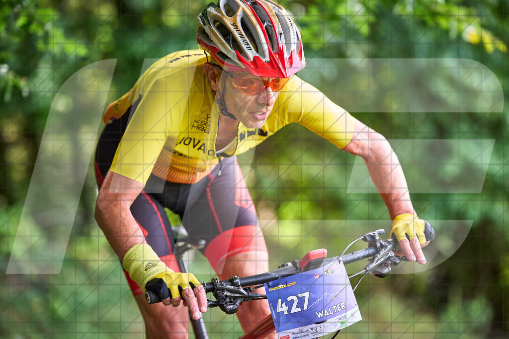 Betriebszentrum Laubenbachmühle, Frankenfels, Österreich - 13. September 2025: Dirndltal Race - Fun und Trophy RaceFotograf: Martin Bihounek / martinbihounek.com | 13. September 2025 Betriebszentrum Laubenbachmühle, Frankenfels, Österreich : Dirndltal Race - Fun und Trophy Race •••••Photo by: Martin Bihounek / martinbihounek.comInsta: @martinbihounekcom