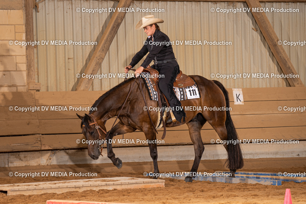 NID00591 | dv-media-shop - Realisiert mit Pictrs.com