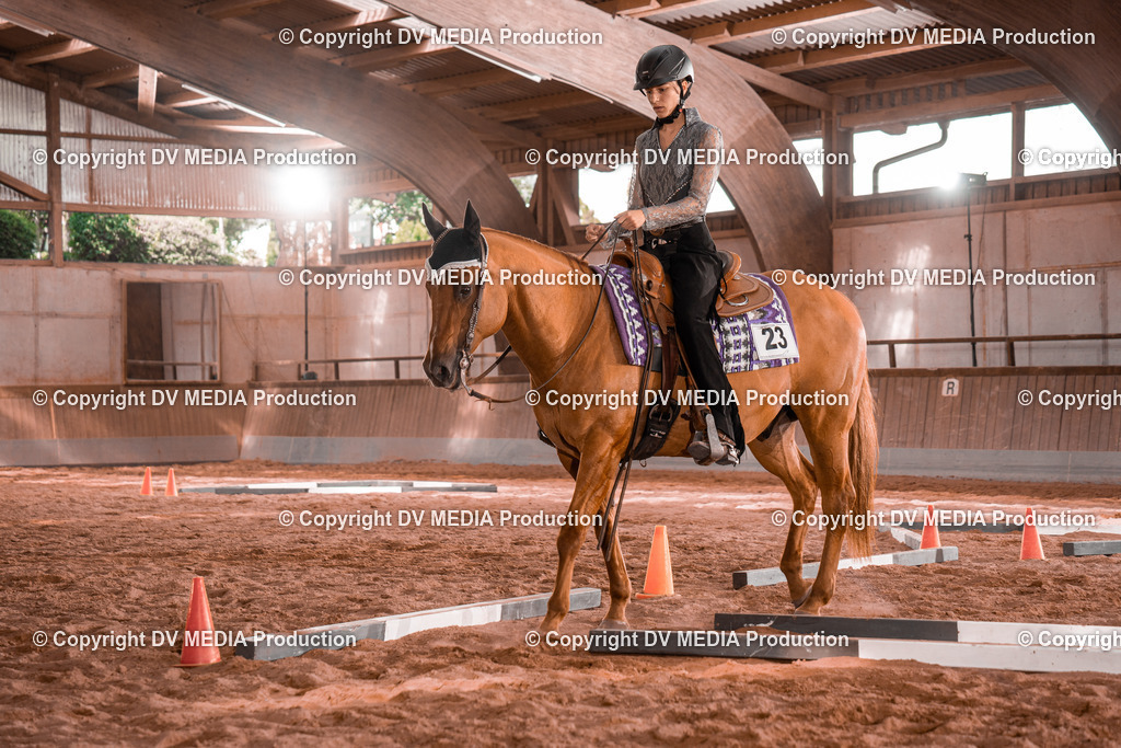 NE200262 | dv-media-shop - Realisiert mit Pictrs.com