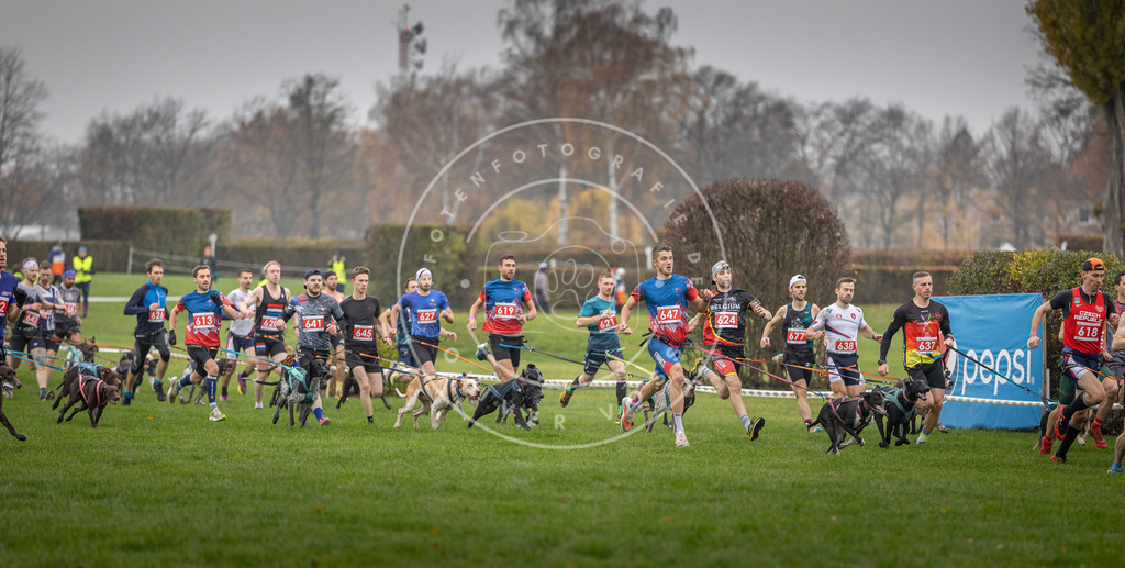 CaniXpix_DV3A9443 | Hundefotografie, Tierfotograf, Pfotenfotografie, Fotoshooting Hund, Hunde Portrait, Hundesport, Hundeportraits, Heideshooting, Hunde, Sportfotograf, Hundefotograf, Turnierhundsport, THS,  - Realisiert mit Pictrs.com