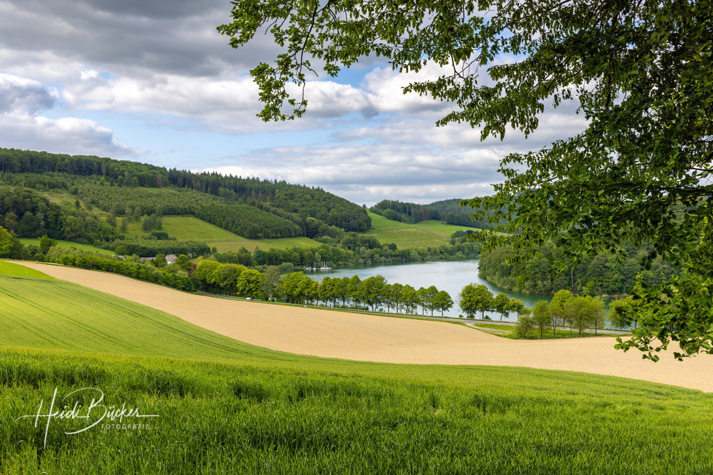Hennesee bei Meschede | Blick über die Felder bei Mielinghausen auf den Hennesee - Realisiert mit Pictrs.com