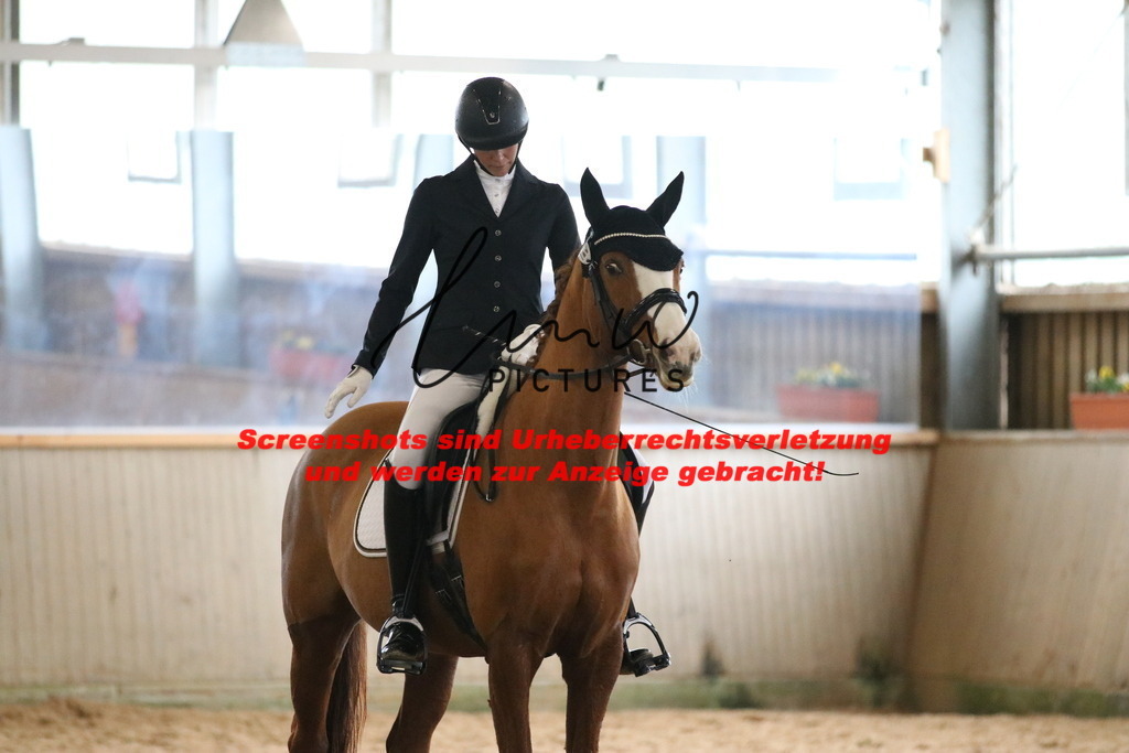 IMG_8306 | lmwpictures - Realisiert mit Pictrs.com