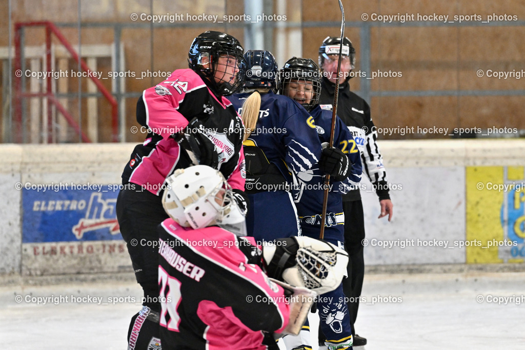 Wildcats Paternion vs. Sharkiras Gmunden | Jubel Wildcats Paternion Mannschaft, #22 Oberrauner Franziska, #6 Jelovcan Selina, Wildcats Paternion vs. Sharkiras Gmunden, Wildcats Paternion vs. Sharkiras Gmunden am 25.10.2025 in Spittal an der Drau (Eissportzentrum Spittal), Austria, (Photo by Bernd Stefan)