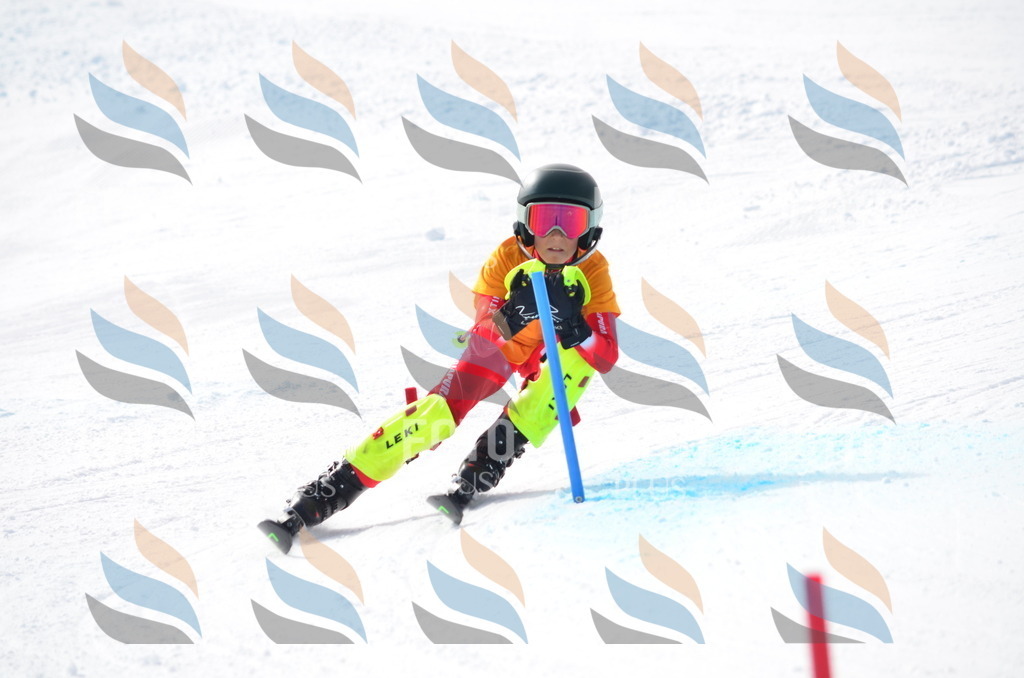 C8340 | holidayphoto