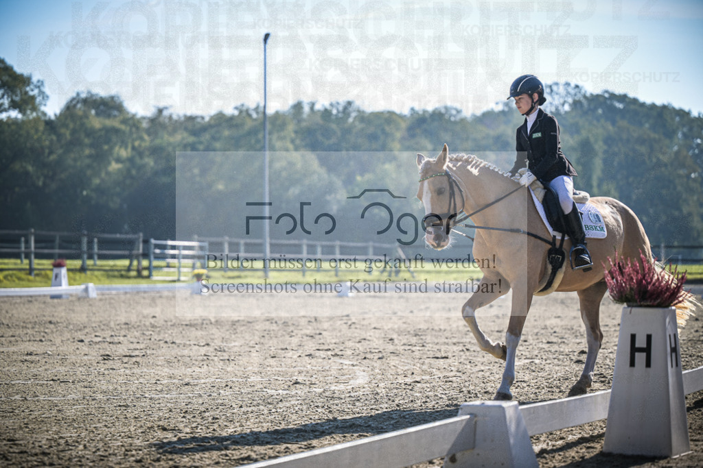 DOS_1796 | Entdecke hochwertige Reitturnierfotos von Foto Oger. Professionell, emotional und authentisch – jetzt Lieblingsmomente im Shop bestellen.Deutschlandweite Turnierfotografie. - Realisiert mit Pictrs.com