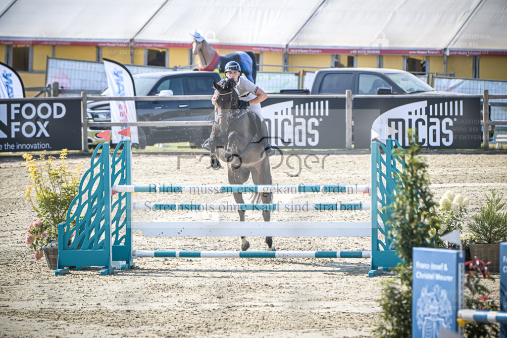 DOS_0424 | Entdecke hochwertige Reitturnierfotos von Foto Oger. Professionell, emotional und authentisch – jetzt Lieblingsmomente im Shop bestellen. - Realisiert mit Pictrs.com