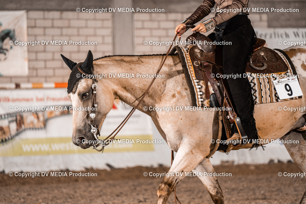 ZH300005 | dv-media-shop - Realisiert mit Pictrs.com