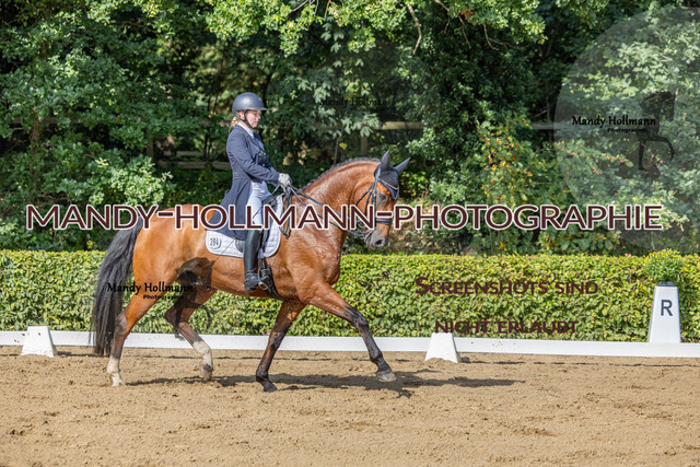 15.8.25 -9- DRE S-96 | mandyhollmannphotographie