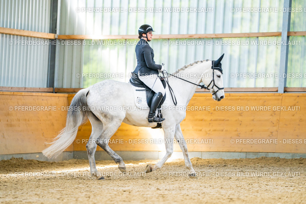 DSC07816 | Pferdegrafie