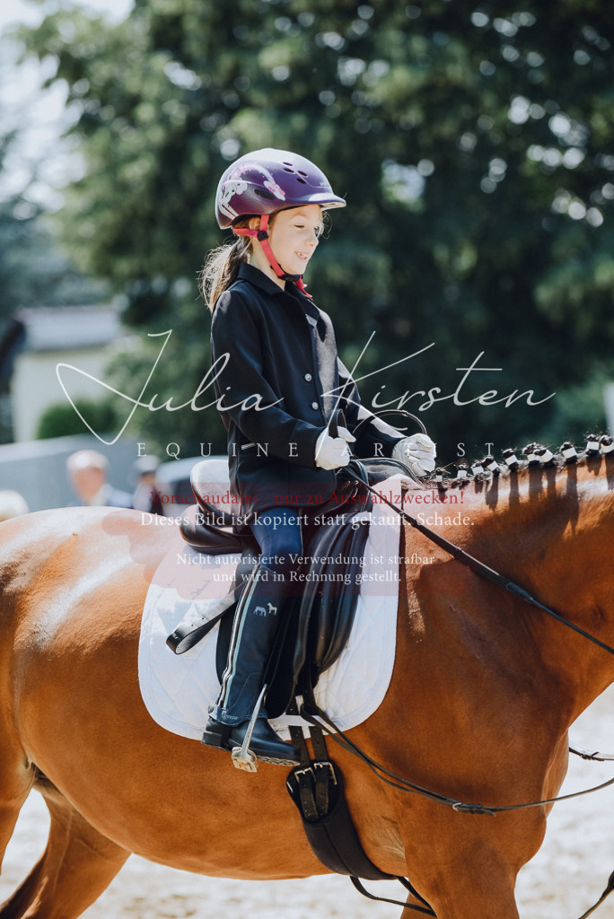 DSC_2309 | Pferde- und Turnierfotografie in Westsachsen. Pferdeportraits, Auftragszeichnungen und intuitive Kunst.