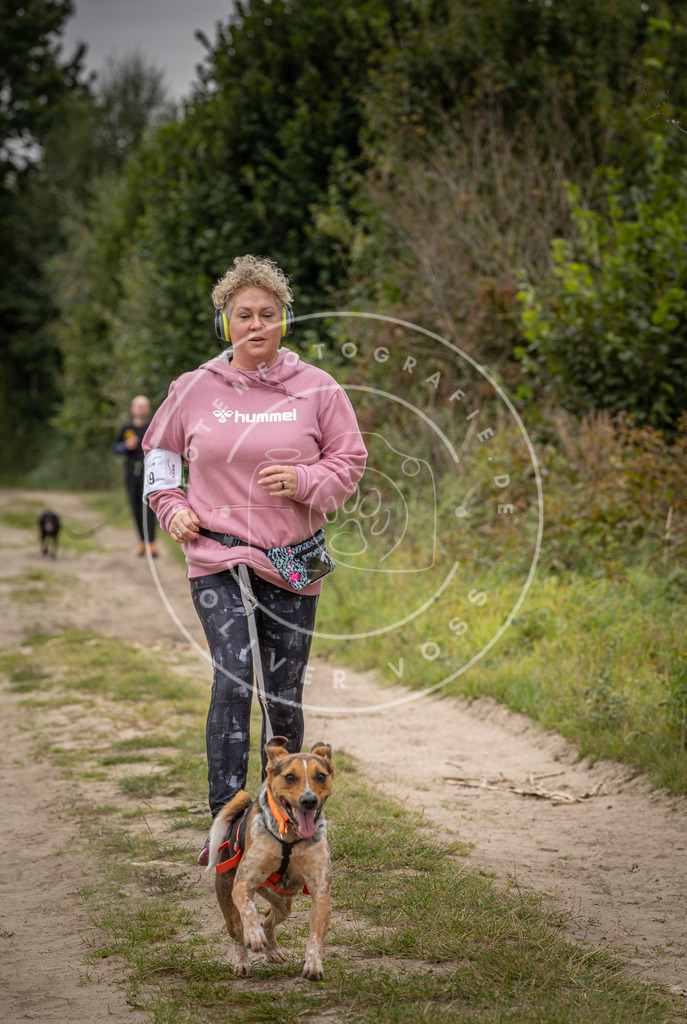 Pfotenfotografie_DV3A6318 | Hundefotografie, Tierfotograf, Pfotenfotografie, Fotoshooting Hund, Hunde Portrait, Hundesport, Hundeportraits, Heideshooting, Hunde, Sportfotograf, Hundefotograf, Turnierhundsport, THS,  - Realisiert mit Pictrs.com