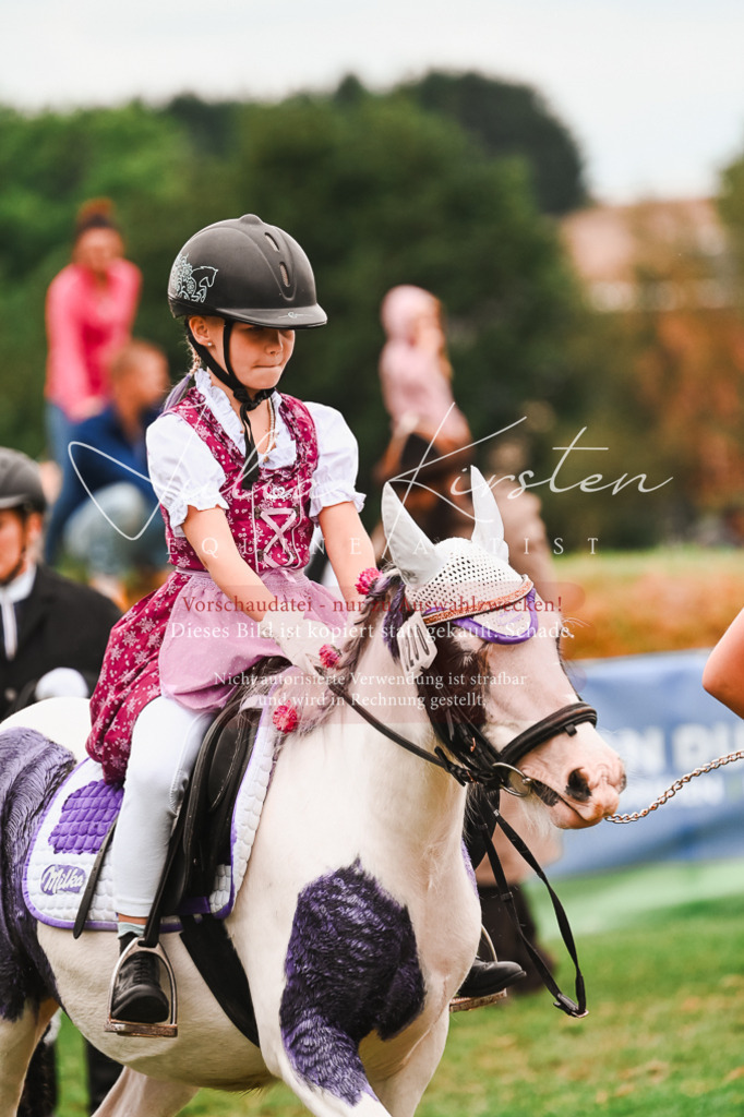 DSC_7425 | Pferde- und Turnierfotografie in Westsachsen. Pferdeportraits, Auftragszeichnungen und intuitive Kunst.