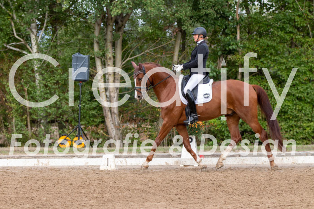 IMG_5014 | Creatify Fotografie