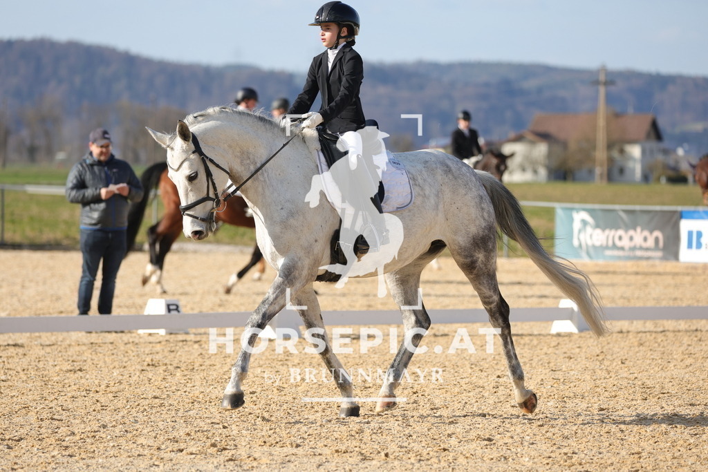 0P6A7943 | Willkommen bei Brunnmayr - Design & Fotografie – Ihrem Spezialisten für Reitturniere und Pferdeveranstaltungen in Oberösterreich, Salzburg und Bayern! Seit über 17 Jahren sind wir leidenschaftlich dabei.