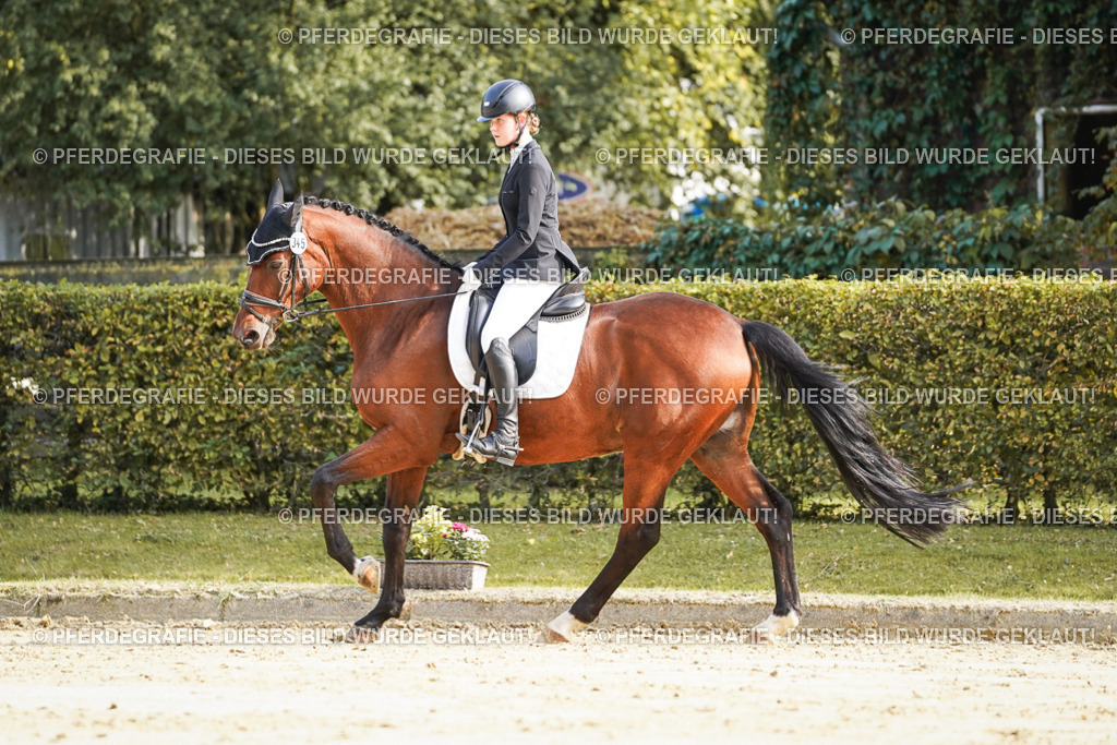 DSC05737 | Pferdegrafie