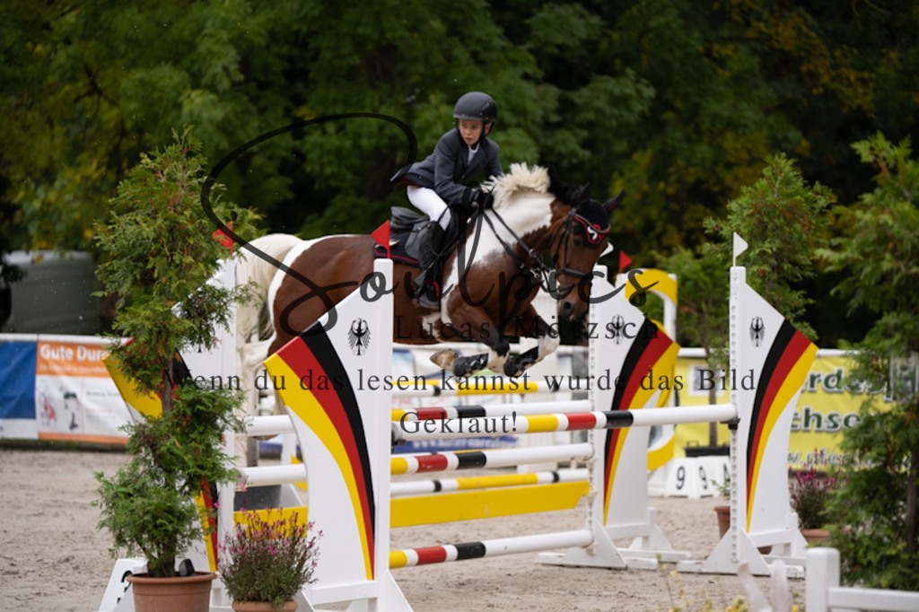 A7V09362 | Pferdefotograf