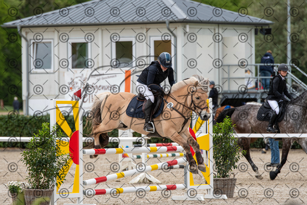 KPT_7449 | andre_photographic