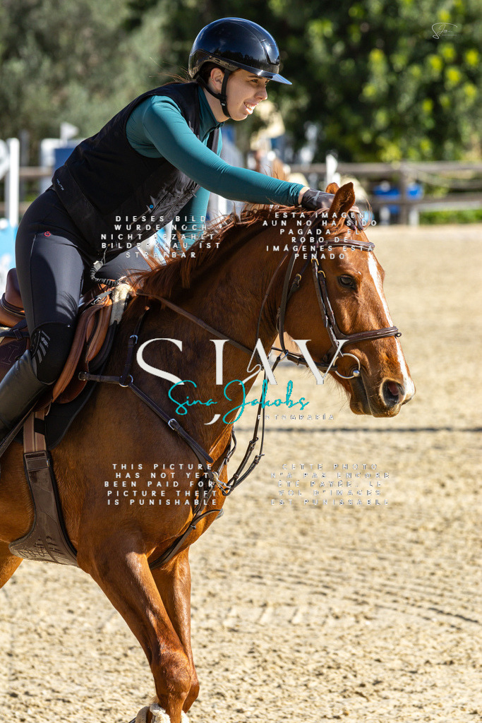 IMG_3651 | s-jay-photography - Realisiert mit Pictrs.com