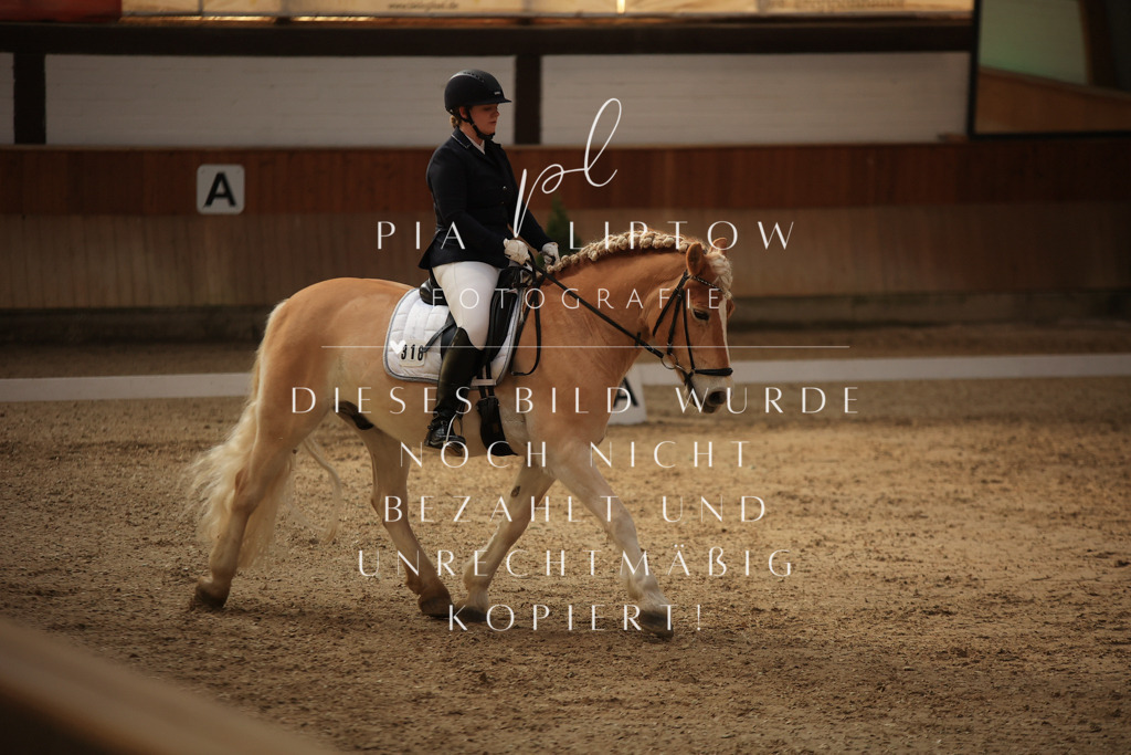 IMGT1956 | pl-fotografie