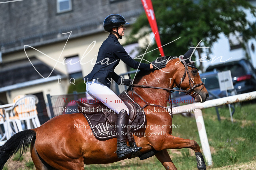 DSC_7920 | Pferde- und Turnierfotografie in Westsachsen. Pferdeportraits, Auftragszeichnungen und intuitive Kunst.