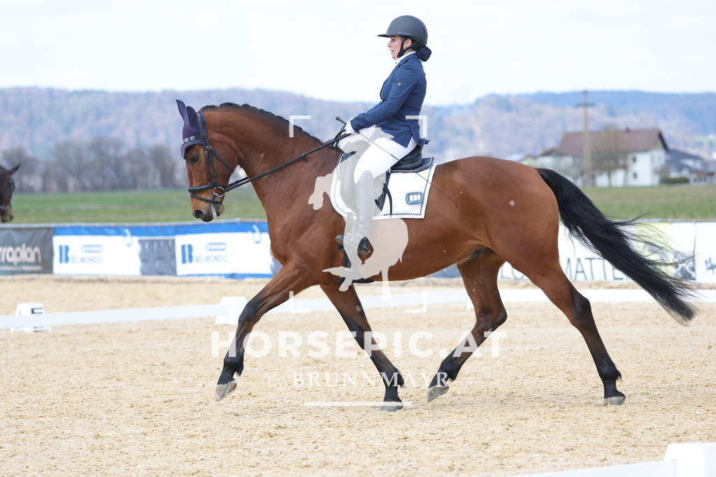 0P6A7602 | Willkommen bei Brunnmayr - Design & Fotografie – Ihrem Spezialisten für Reitturniere und Pferdeveranstaltungen in Oberösterreich, Salzburg und Bayern! Seit über 17 Jahren sind wir leidenschaftlich dabei.