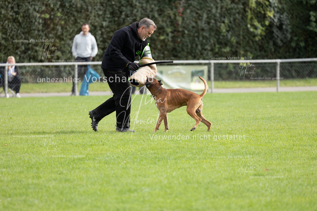 _16A7063 | Einzigartige Fotos von Hunden & Menschen –Actionfotos, Portraits, Vereinsaufnahmen & Paarshootings – authentisch, lebendig & mit Herz.