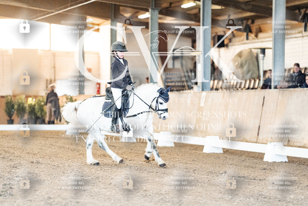 CK906402 | Turnierfotografie Pferdefotografie Trier Rheinland-Pfalz Pferdesport Reitsport Tierfotografie Sportfotografie Pferdevideo Pferdevideografie Equestrianvideography equestrianphotography  - Realisiert mit Pictrs.com