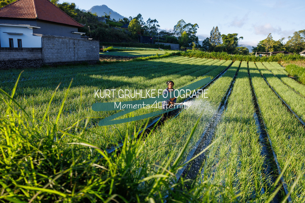 230719-0707 - Kopie | onlinegalerie und Fotoshop Kurt Gruhlke Fotograf Berlin
Hochzeitsfotograf Eventfotograf Portraitfotografie
 - Realisiert mit Pictrs.com