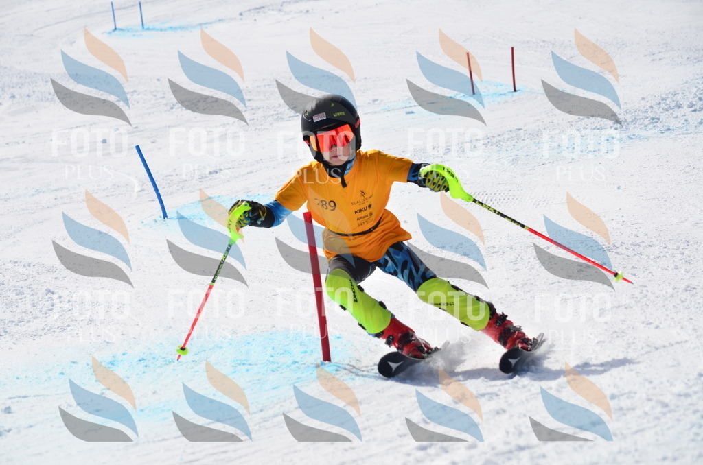 C8689 | holidayphoto