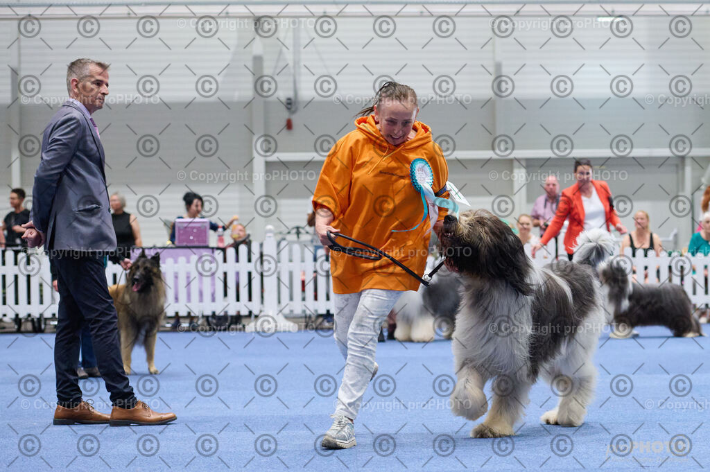 202406_ÖKV-IHA-Tulln24_DSC_2877 | proPHOTO - Realisiert mit Pictrs.com