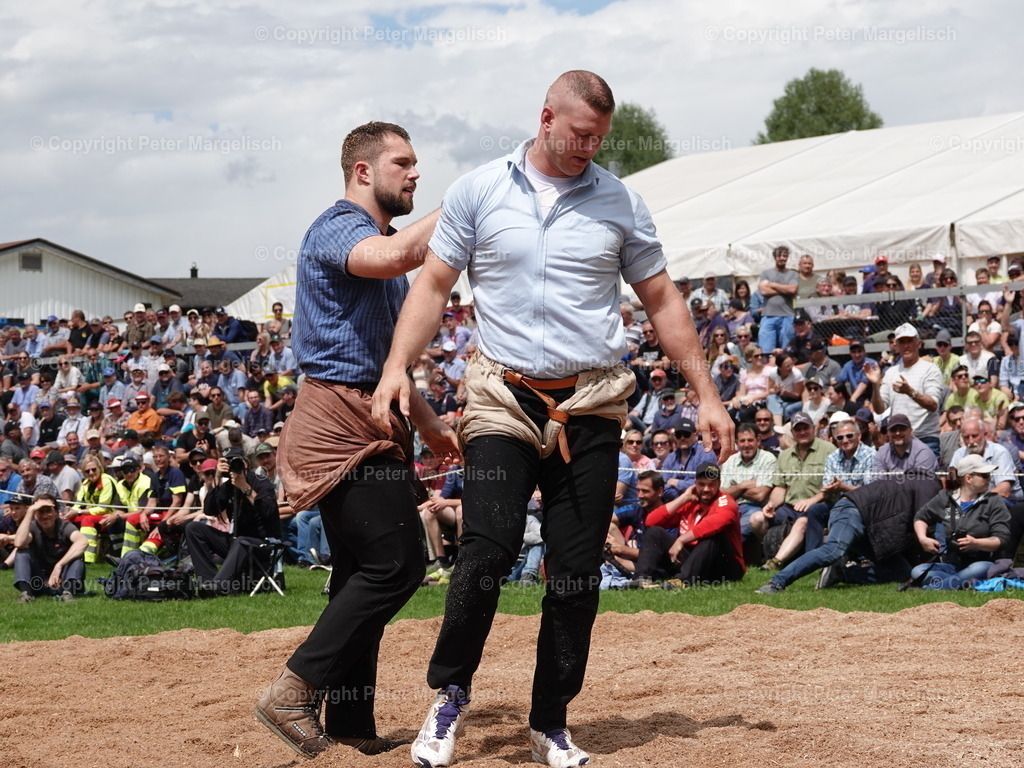 DSC07193 | Schwingen - Realisiert mit Pictrs.com
