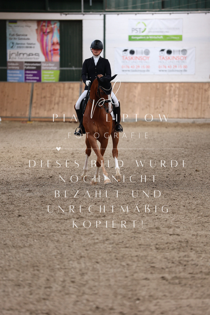 IMGM2582 | pl-fotografie