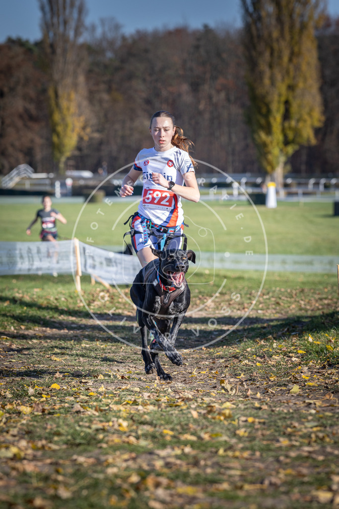 CaniXpix_DV3A9289 | Hundefotografie, Tierfotograf, Pfotenfotografie, Fotoshooting Hund, Hunde Portrait, Hundesport, Hundeportraits, Heideshooting, Hunde, Sportfotograf, Hundefotograf, Turnierhundsport, THS,  - Realisiert mit Pictrs.com