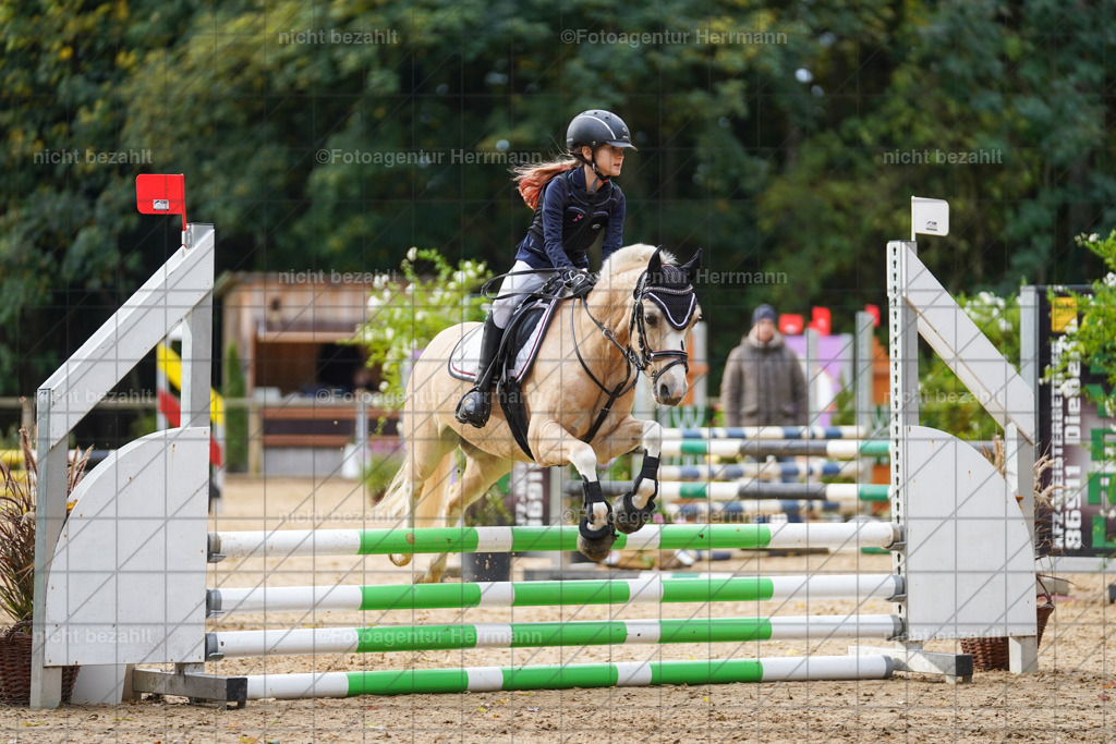 20221009-FAH08391 | Diessen am Ammersee, 2022, Dressur- und Springturnier, Reitsportbilder, Turnierfotografen Bayern, Pferdefotografen, Fotoagentur Herrmann, Turnierbilder