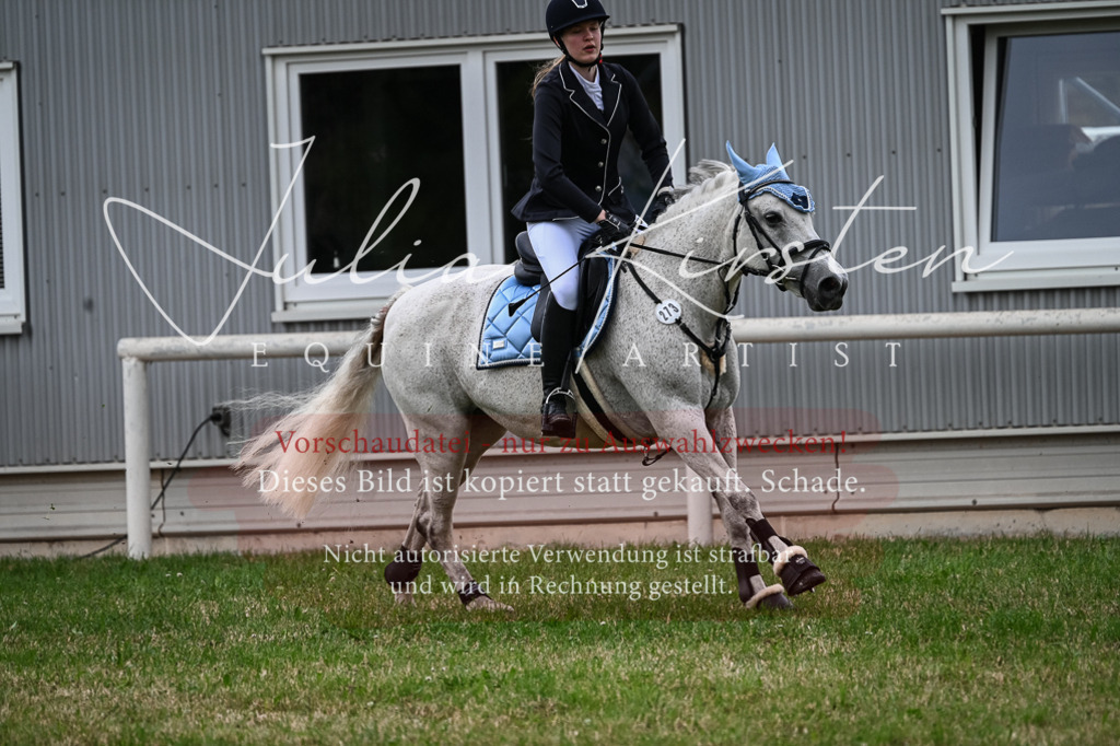 DSC_8505 | Pferde- und Turnierfotografie in Westsachsen. Pferdeportraits, Auftragszeichnungen und intuitive Kunst.