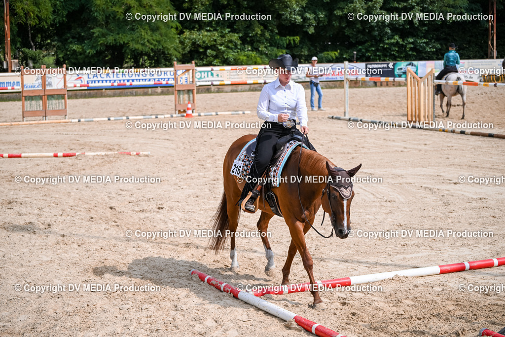 ZS2_3680 | dv-media-shop - Realisiert mit Pictrs.com