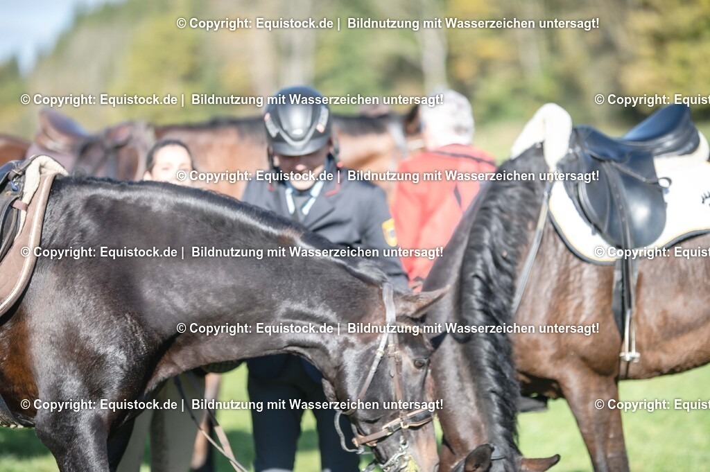 20251011_Jagd-Marbach_0725 | Foto: Thomas Hartig