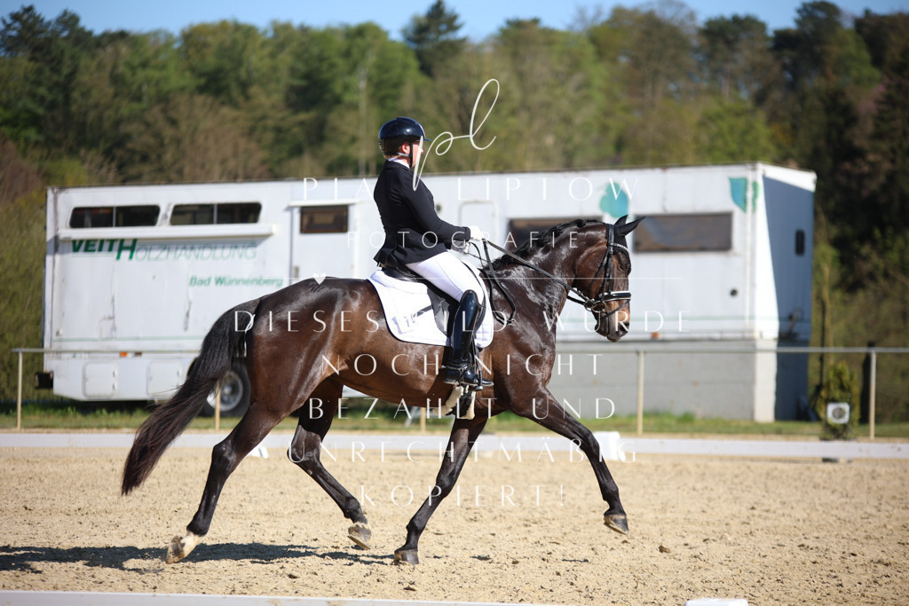 IMGT9029 | pl-fotografie