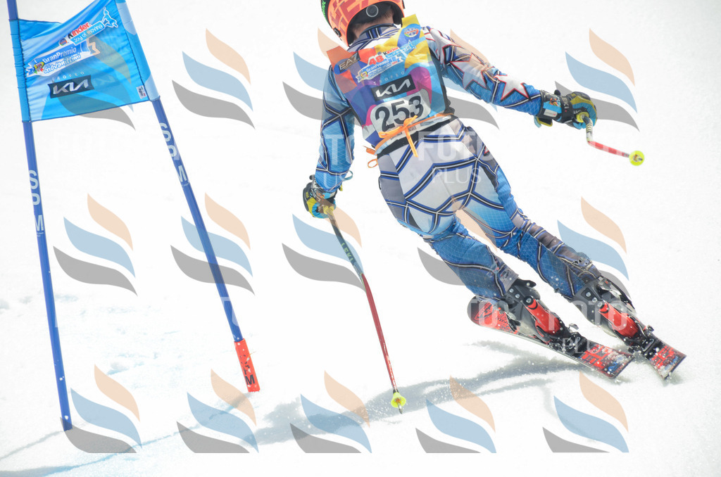 _ELE7587 | holidayphoto