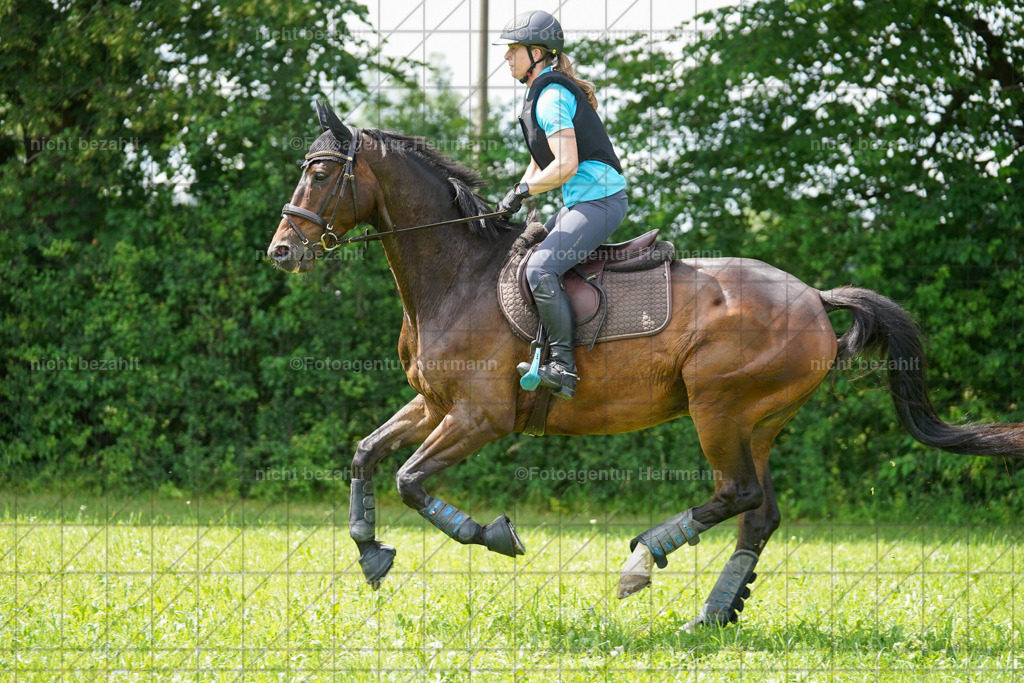 20240622-FAH07612 | Turnierfotografen Bayern, Reitsportbilder aus dem Geländekurs mit Felix Etzel auf dem Gut Waitzacker 2024