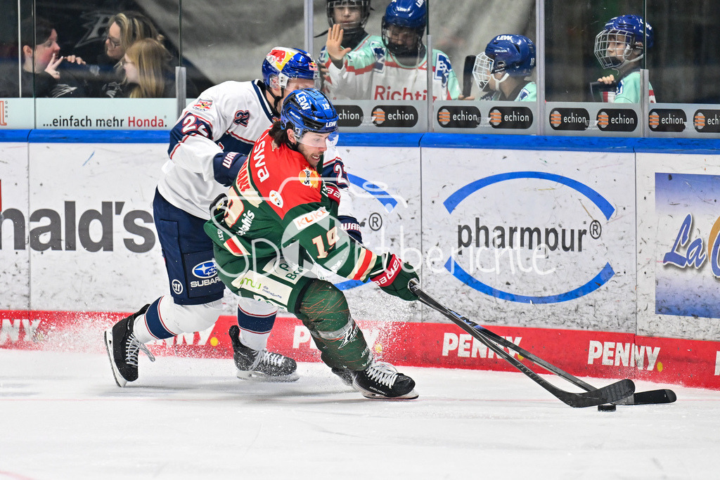 Augsburger Panther - EHC RB München | AUGSBURG, DEUTSCHLAND - 27. FEBRUAR: im Duell Ville POKKA (RB München 22) und Riley DAMIANI (Augsburger Panther 19) während dem Match zwischen den Augsburger Panthern und dem EHC RB München am 46. Spieltag der Penny DEL im Curt Frenzel Stadion