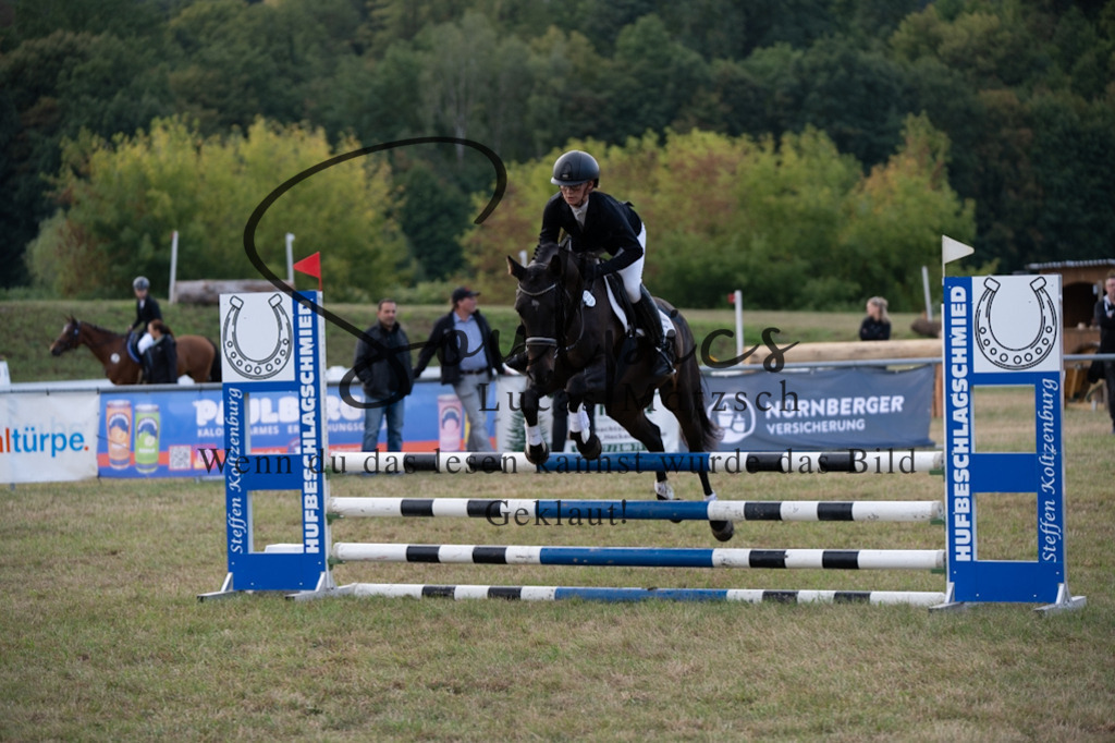 A7V07963 | Pferdefotograf