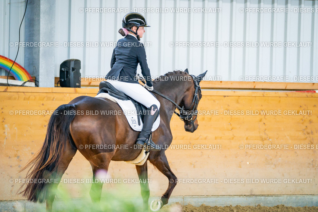 DSC06381 | Pferdegrafie