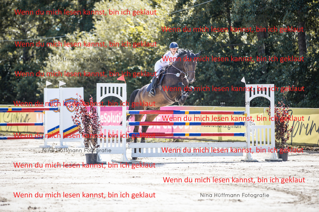 BK1A6558 | Turnierbilder Turnierfotos Nina Hüffmann Turnierfotografie Pferdefotografie Tierzeichnung Haustierzeichnung Pferdezeichnung Hundezeichnung Videograf  - Realisiert mit Pictrs.com