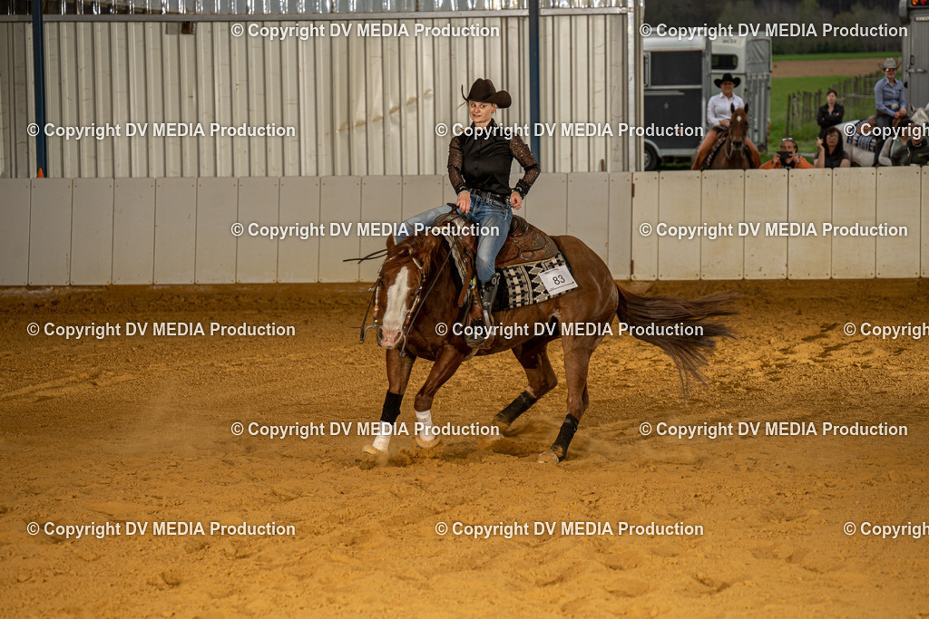 MIT00574 | dv-media-shop - Realisiert mit Pictrs.com