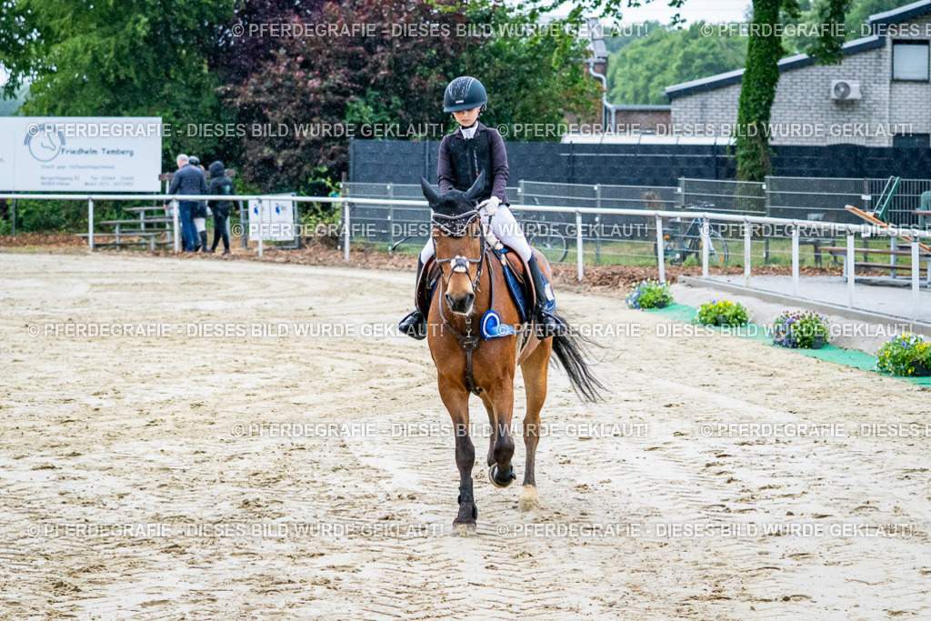 DSC01536 | Pferdegrafie