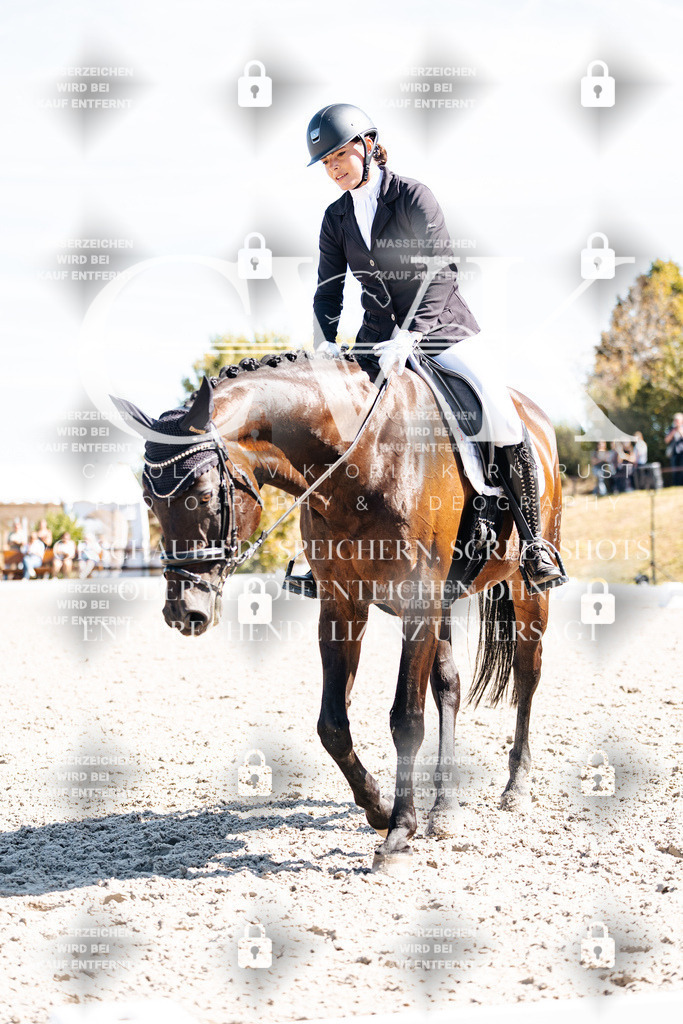 CK909777 | Turnierfotografie Pferdefotografie Trier Rheinland-Pfalz Pferdesport Reitsport Tierfotografie Sportfotografie Pferdevideo Pferdevideografie Equestrianvideography equestrianphotography  - Realisiert mit Pictrs.com