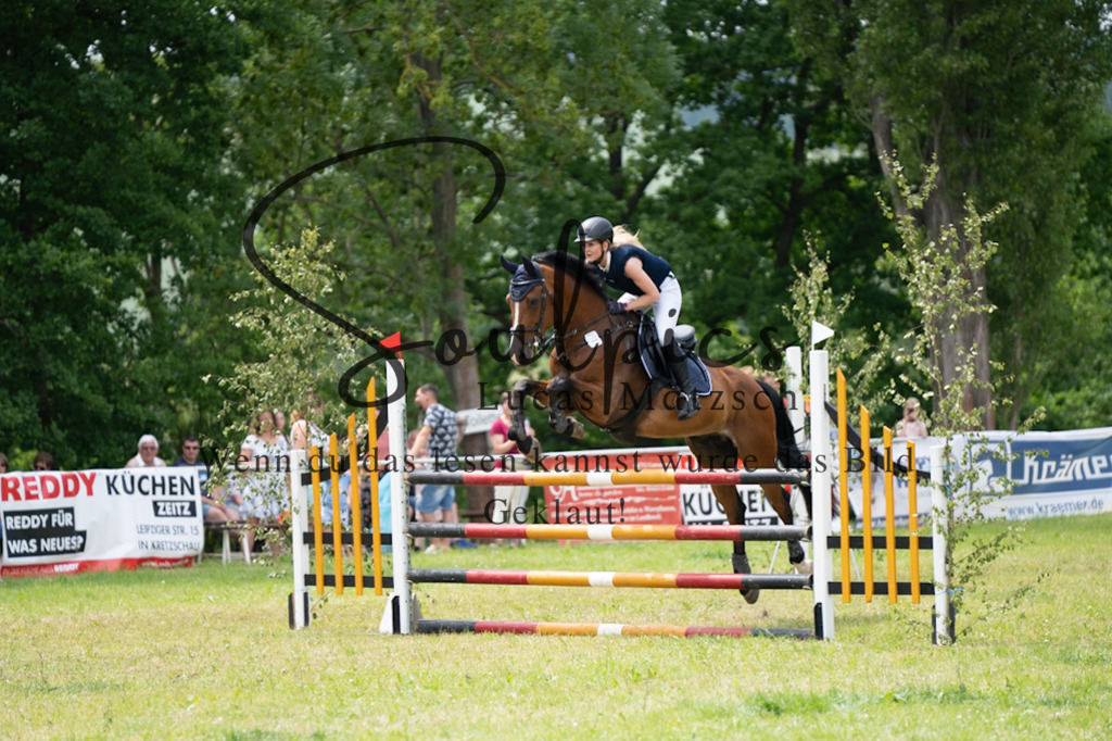 A7V07212 | Pferdefotograf